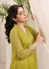 Kashish Dhani