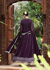 Kashish - Purple