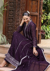 Kashish - Purple