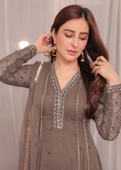 Kashish - Brown
