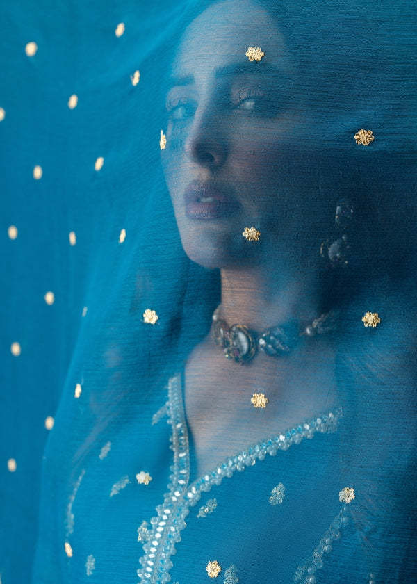 Gulal - Peacock